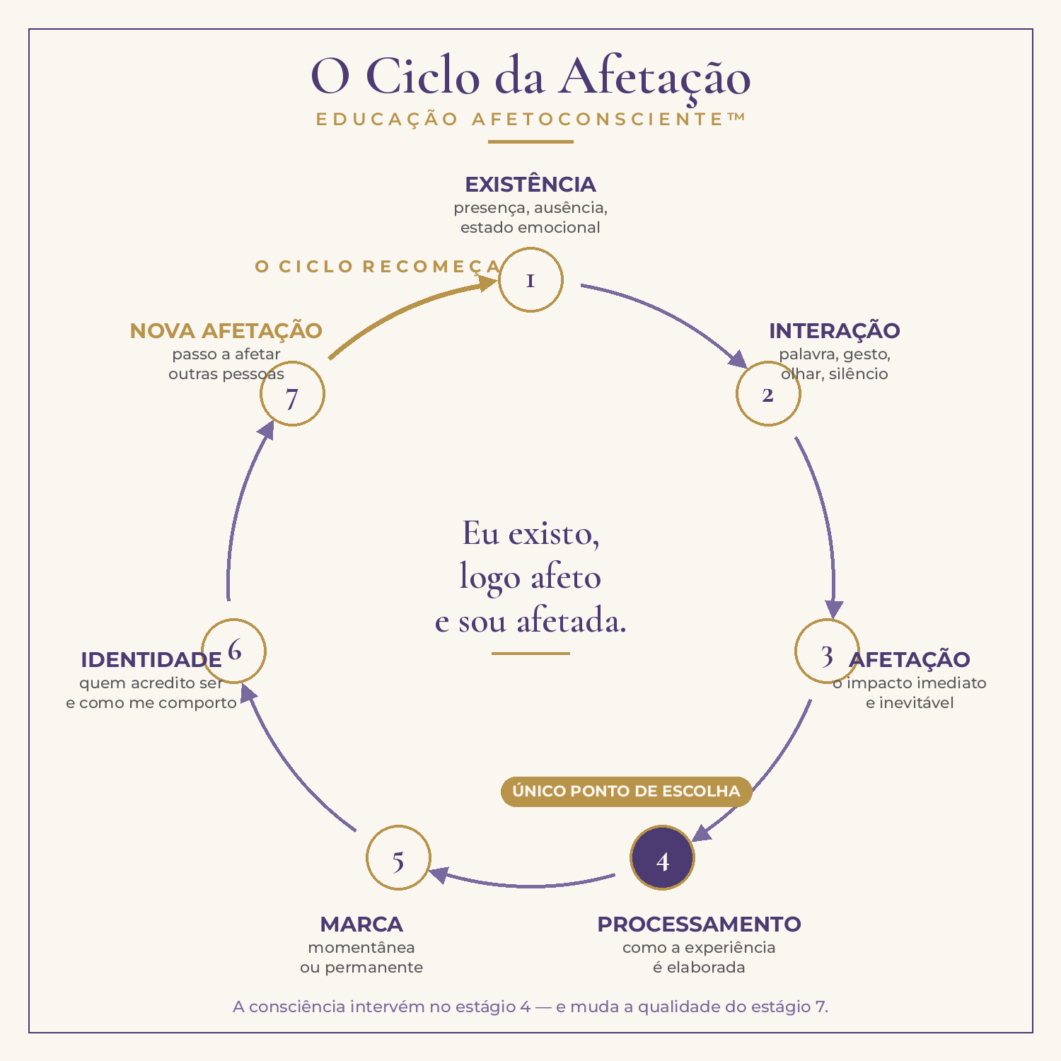 Ciclo da Afetação da Educação AfetoConsciente